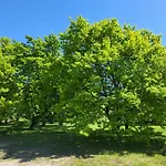 Sarai Отель