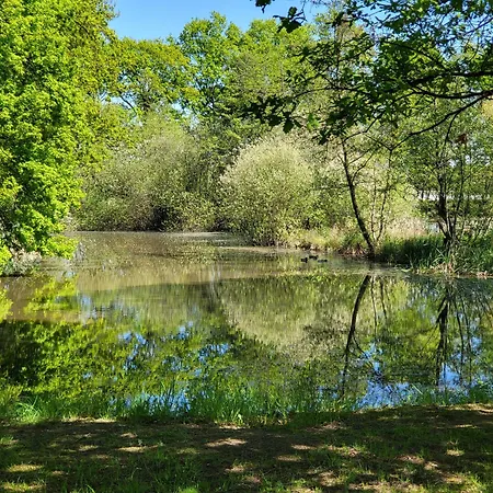 Sarai Hotel Breslavia