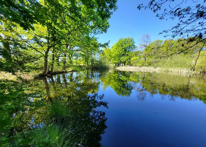 Sarai Вроцлав